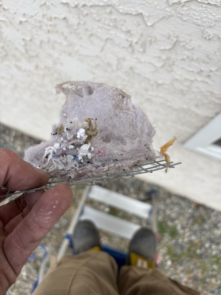 Lint clogging the screen on a dryer vent outlet, pulled off by our tech