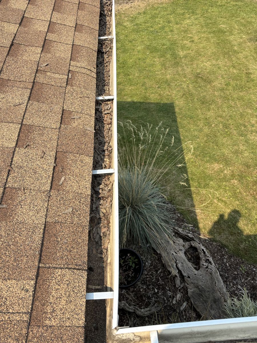 Roof gutter packed with leaves and bark before cleaning