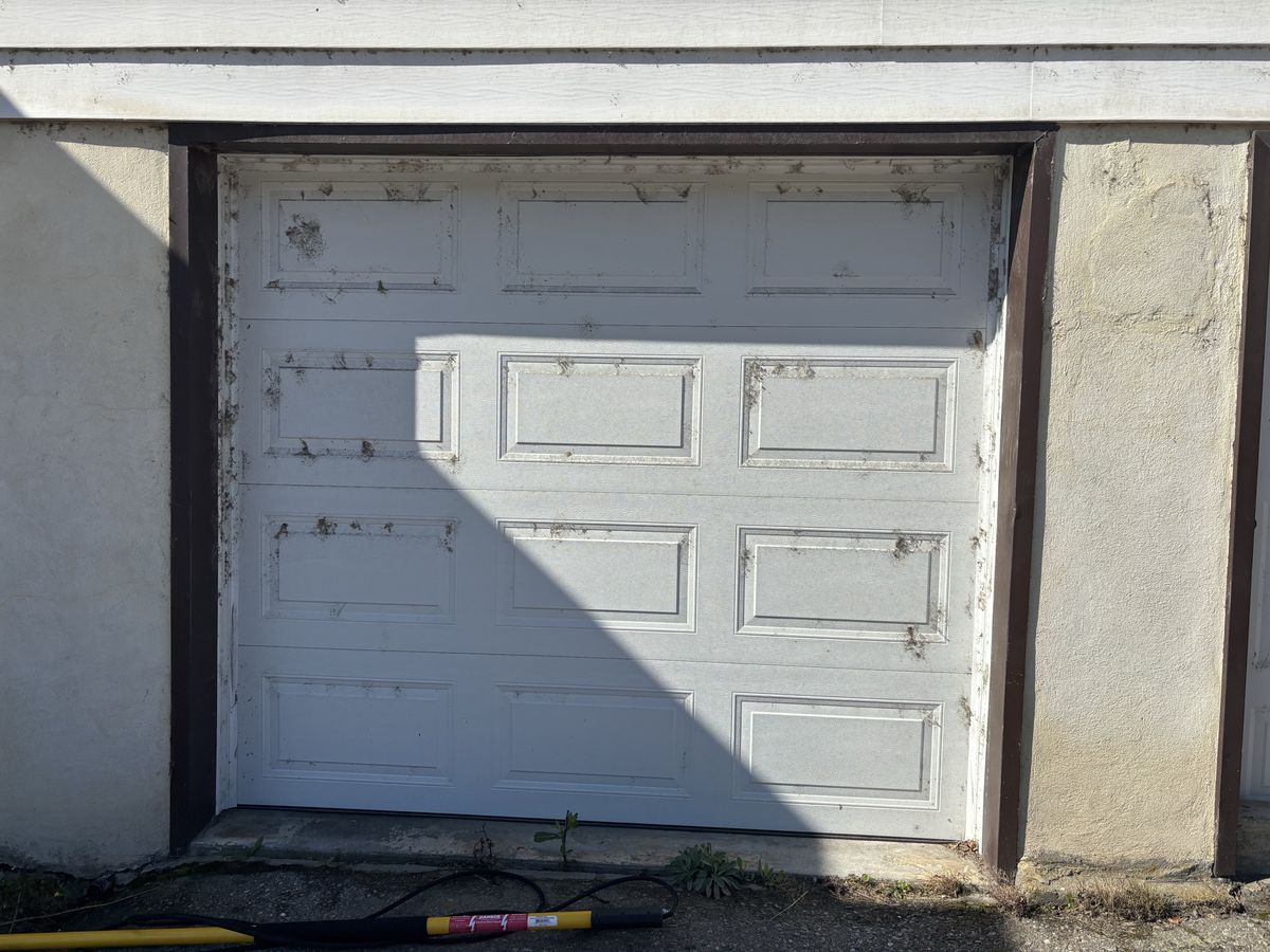Garage door with dirt and cobweb marks around every panel before a soft wash