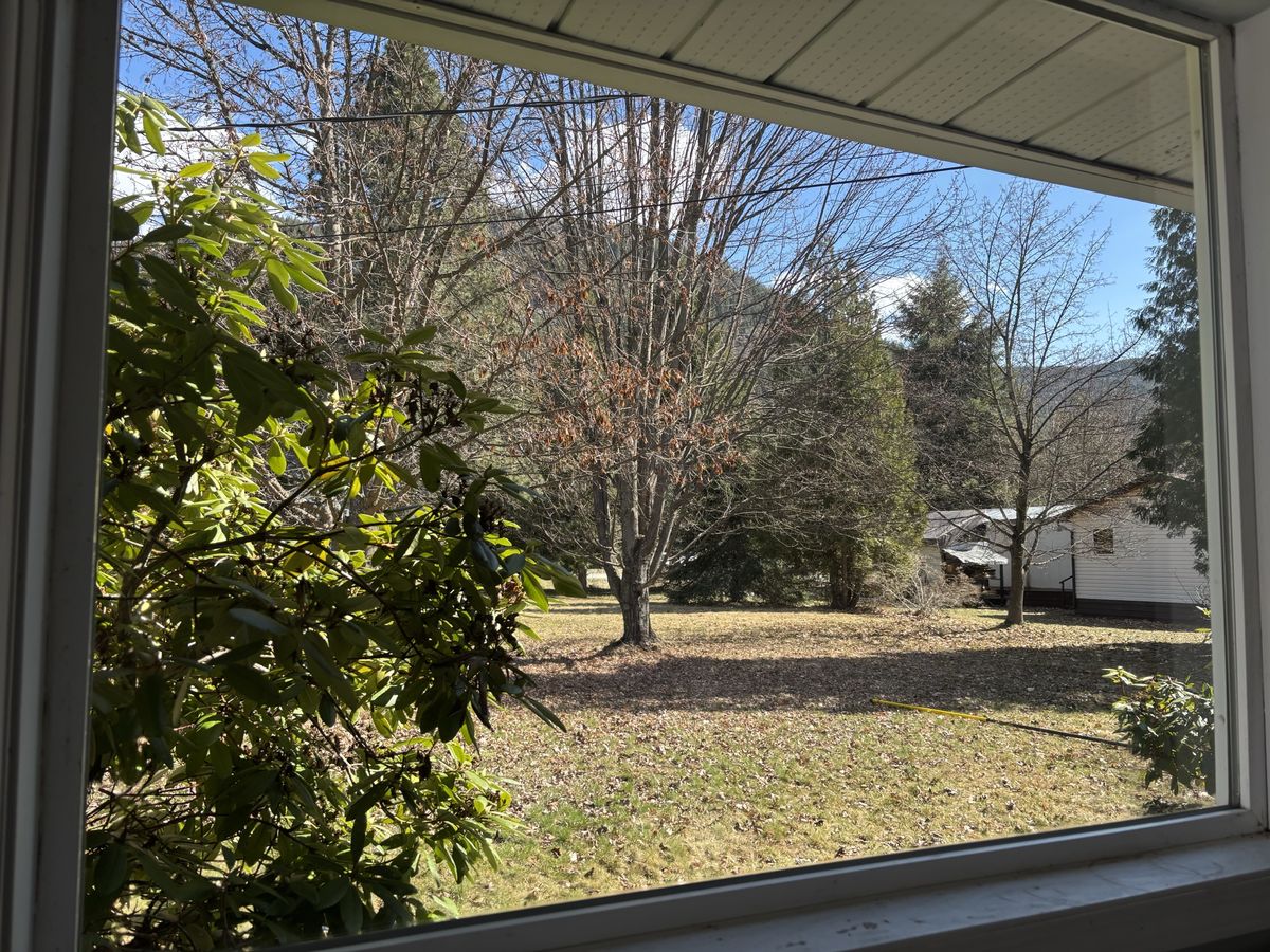 The same window after cleaning, a clear view of the yard